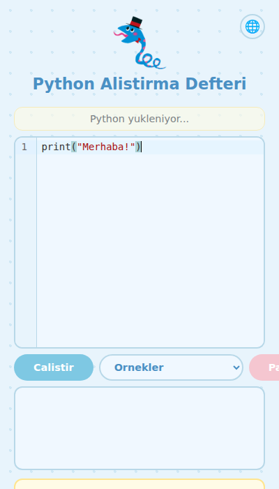 Python kodu yazılan ekran
